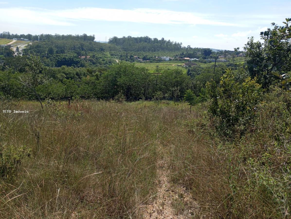 Terreno, 300 m² - Foto 7