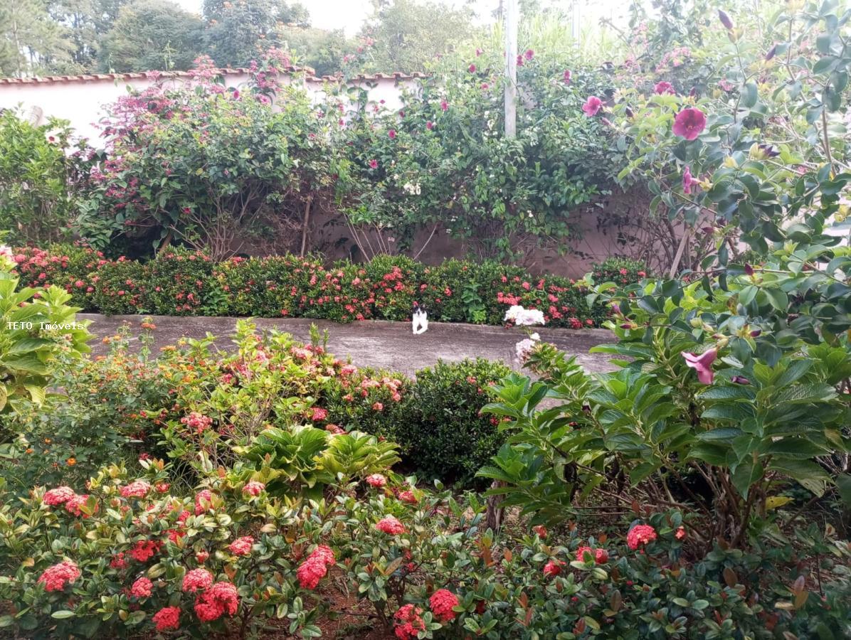 Sítio, 3 quartos, 1000 m² - Foto 17