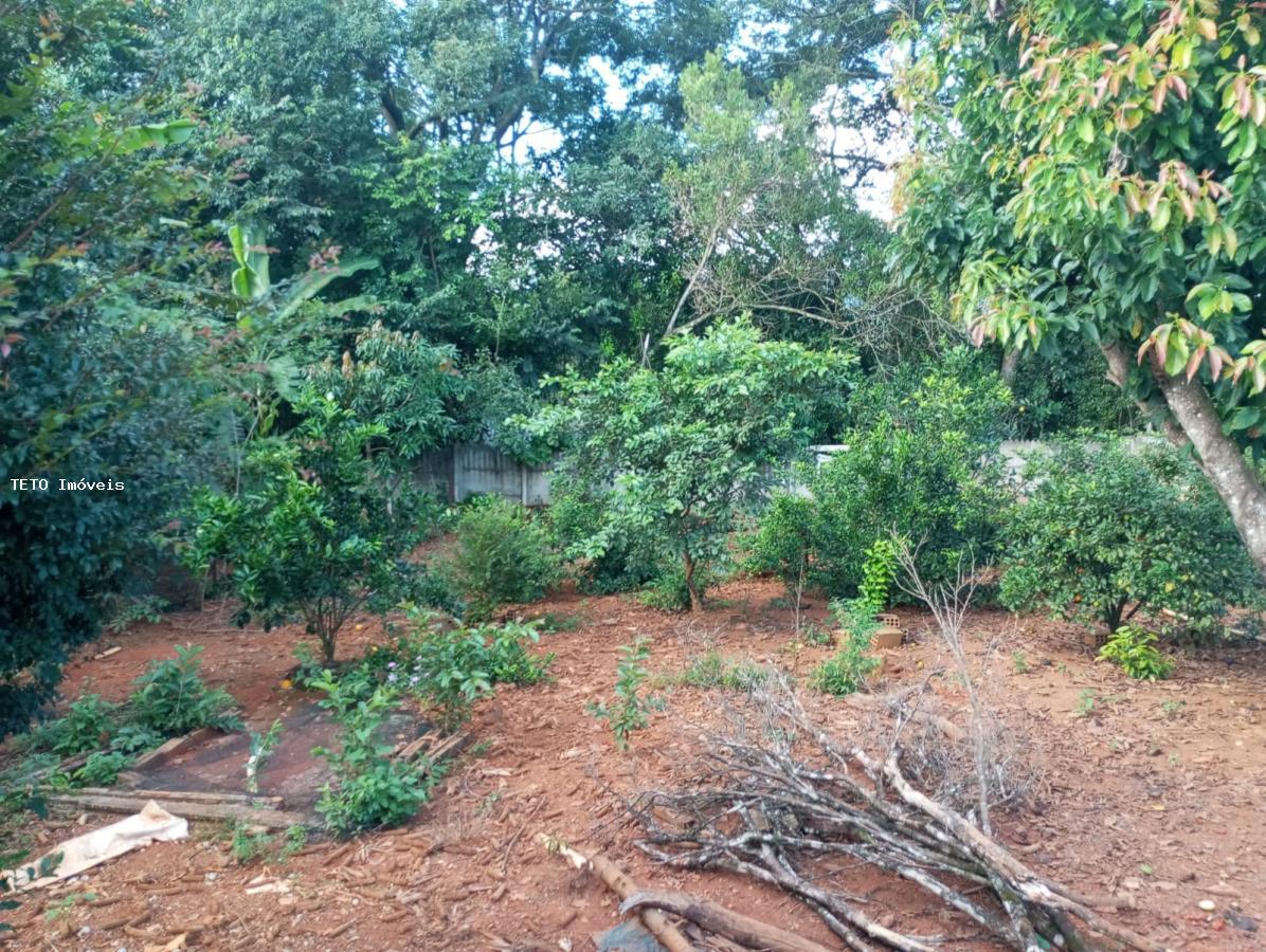 Sítio, 3 quartos, 1000 m² - Foto 44