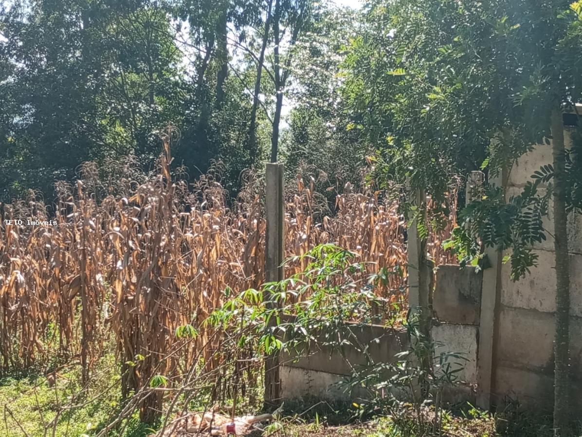 Sítio, 2 m² - Foto 12