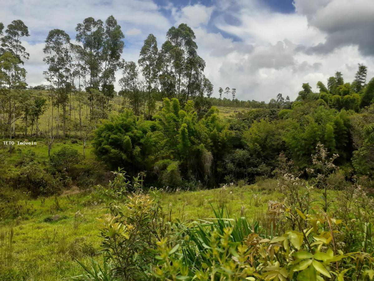 Sítio, 4 m² - Foto 22