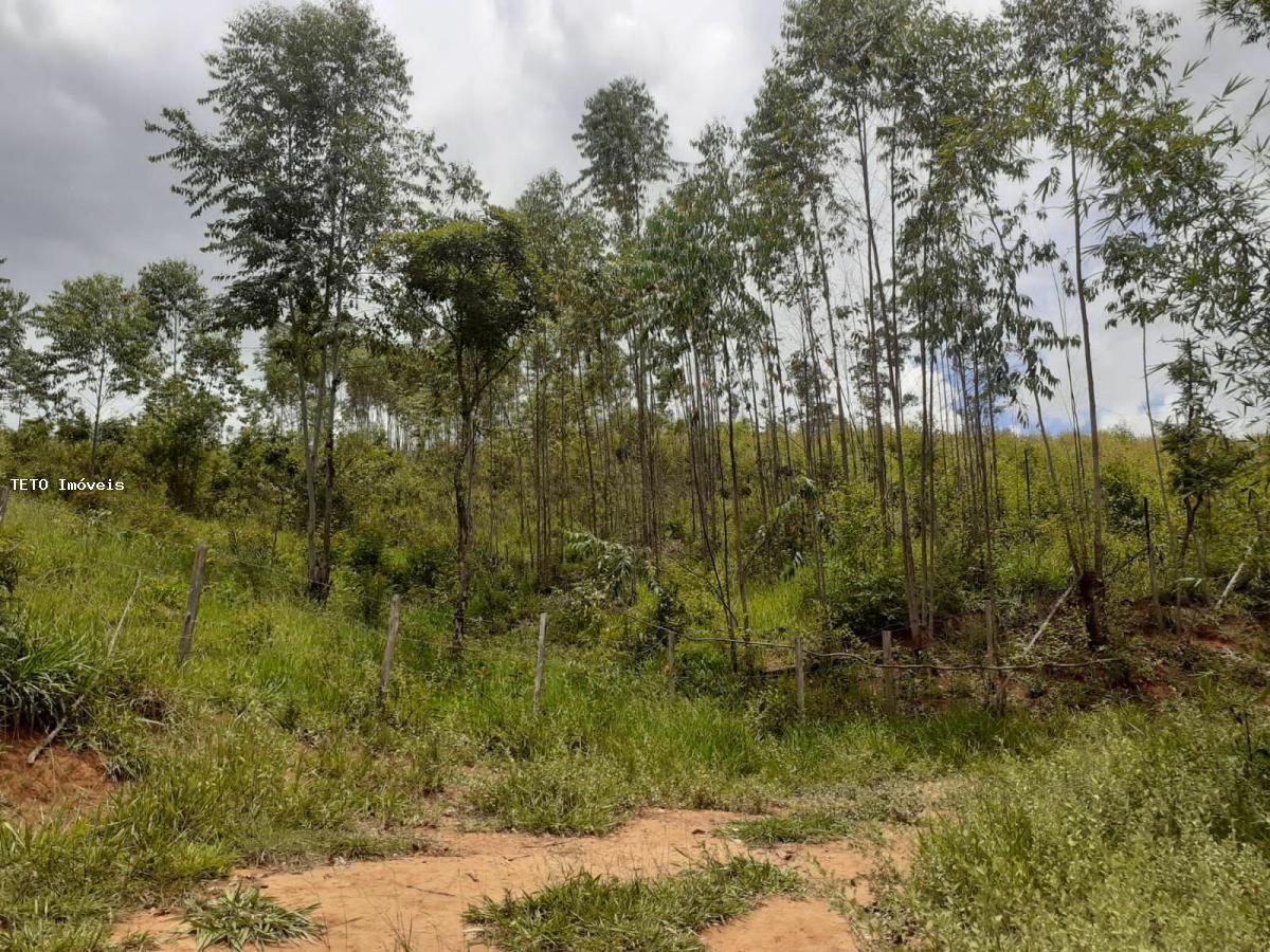 Sítio, 4 m² - Foto 23