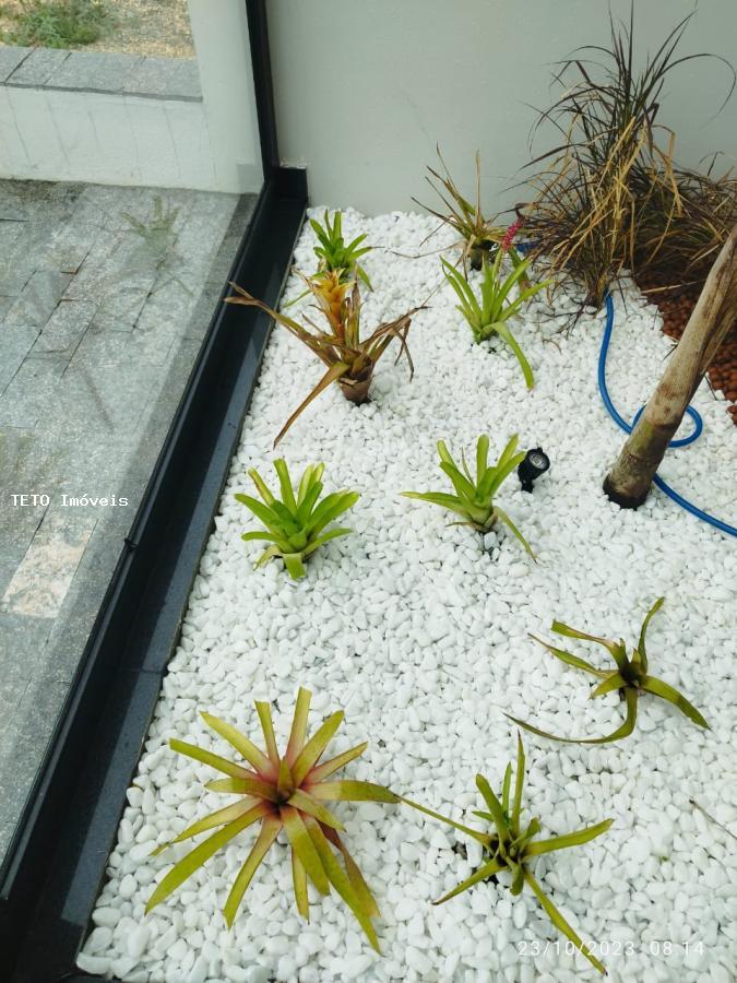 Casa, 4 quartos - Foto 12