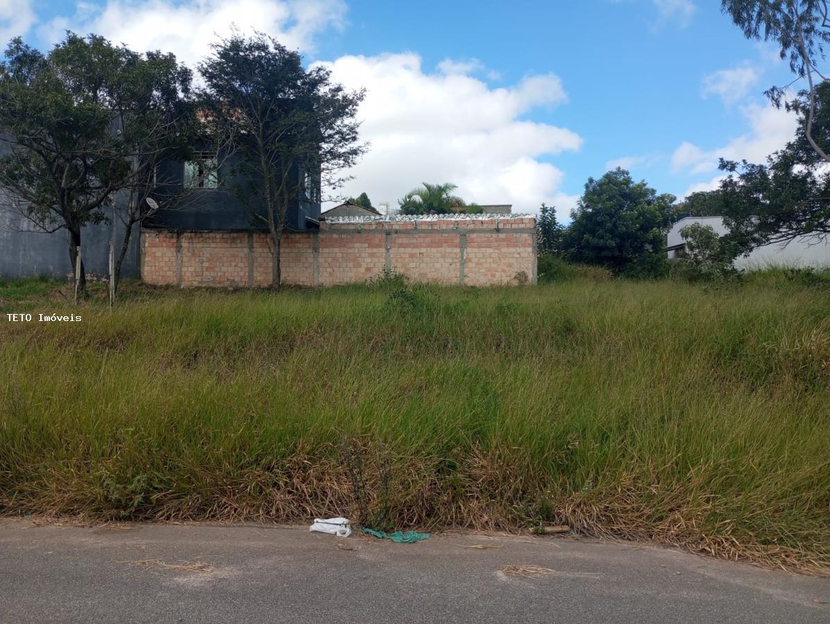 Apartamento - Foto 5