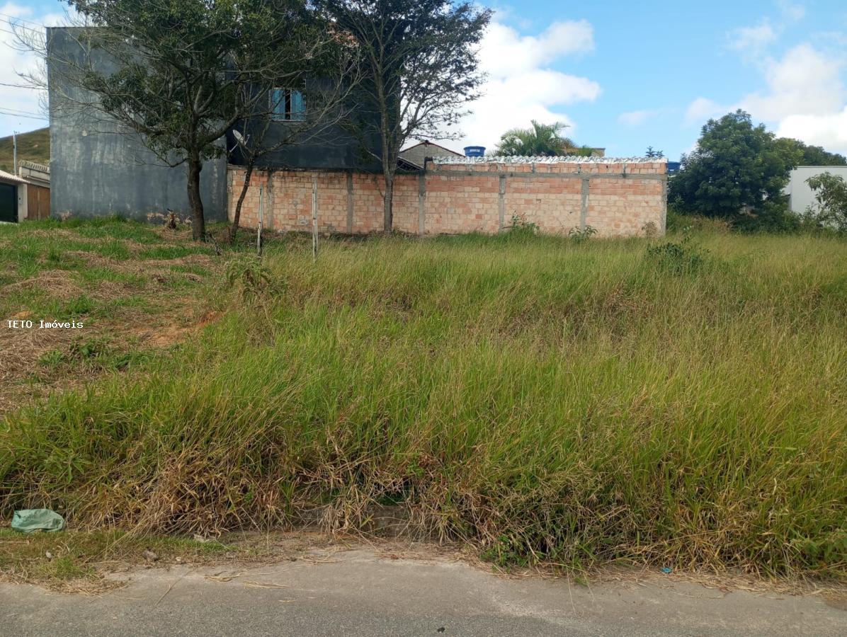 Apartamento - Foto 6