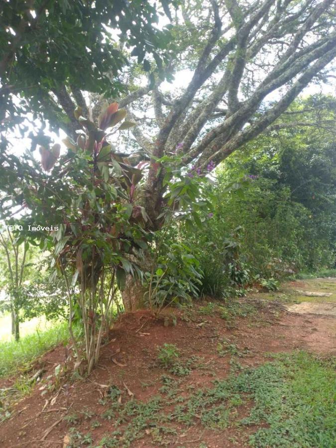 Chácara, 3 quartos, 6000 m² - Foto 3