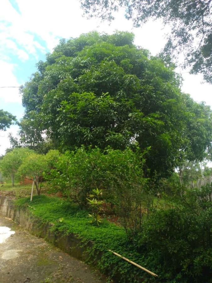 Chácara, 3 quartos, 6000 m² - Foto 6