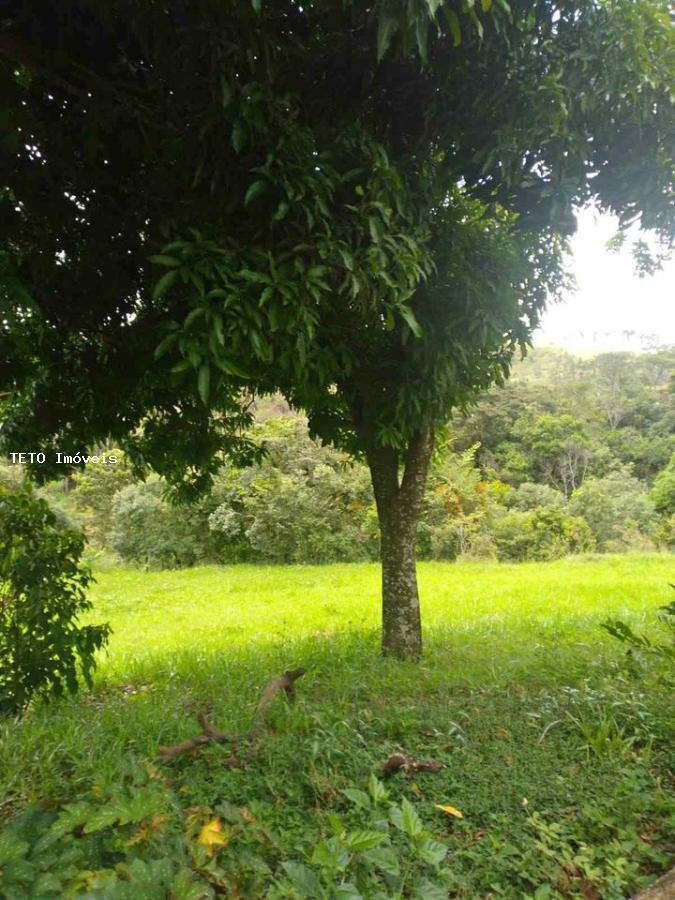 Chácara, 3 quartos, 6000 m² - Foto 7