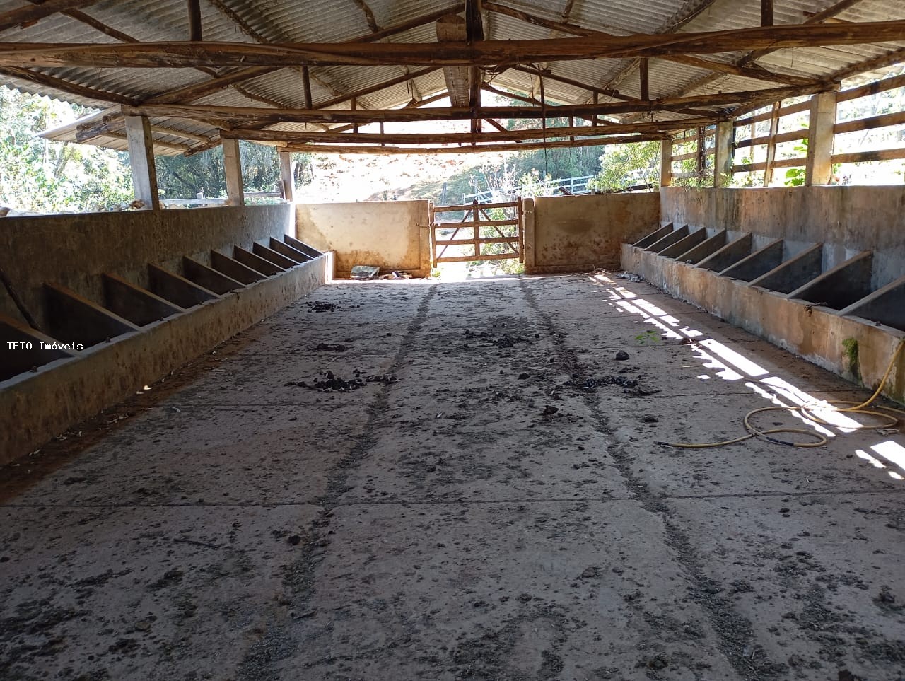 Fazenda, 54 m² - Foto 6