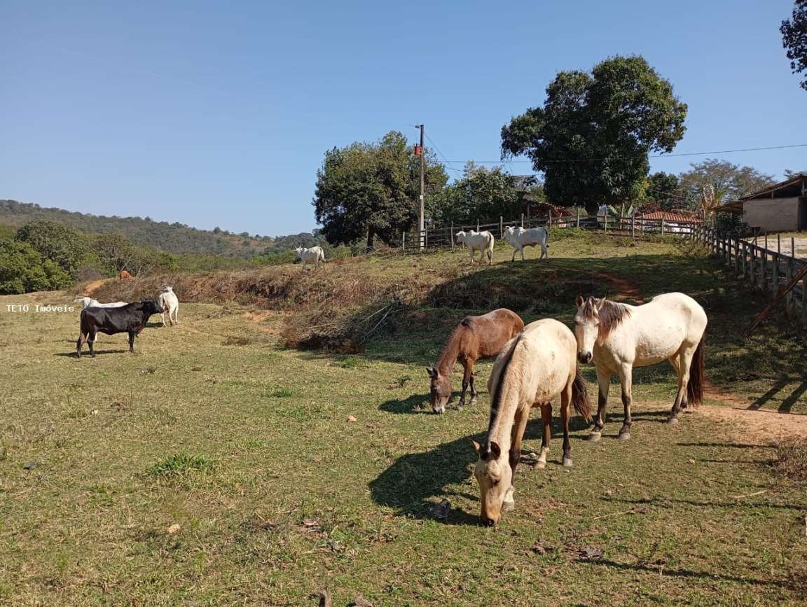 Fazenda, 54 m² - Foto 26