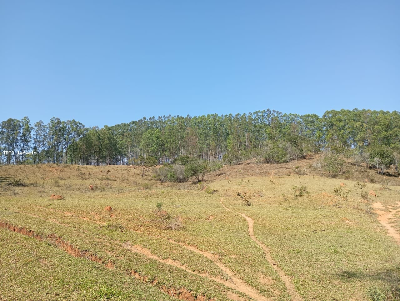 Fazenda, 54 m² - Foto 30