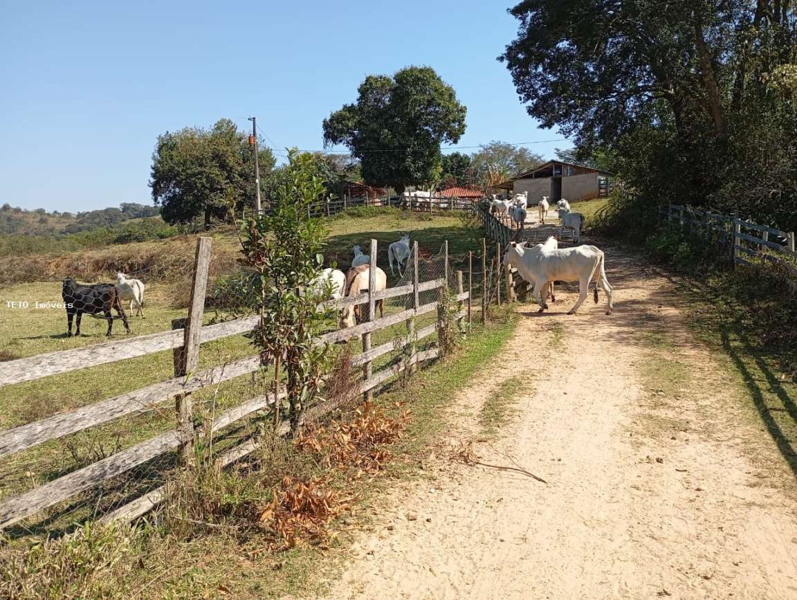 Fazenda, 54 m² - Foto 12