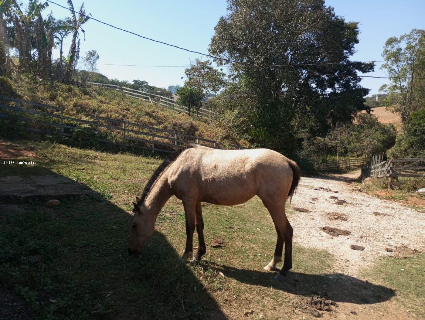 Fazenda, 54 m² - Foto 51
