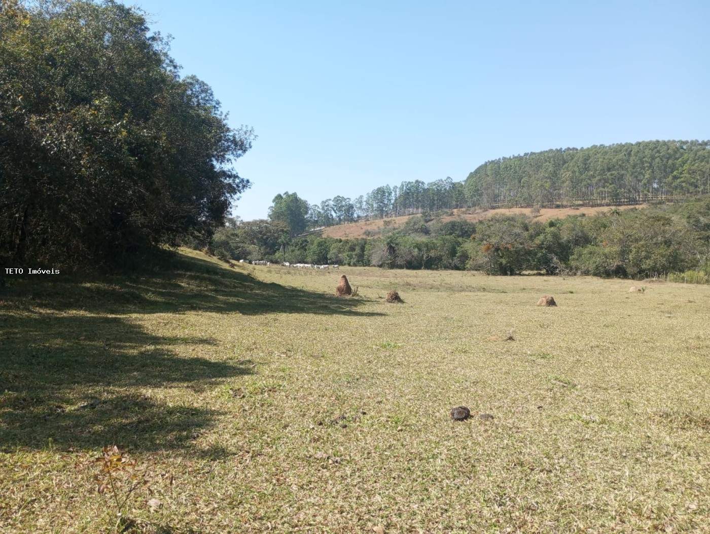 Fazenda, 54 m² - Foto 37