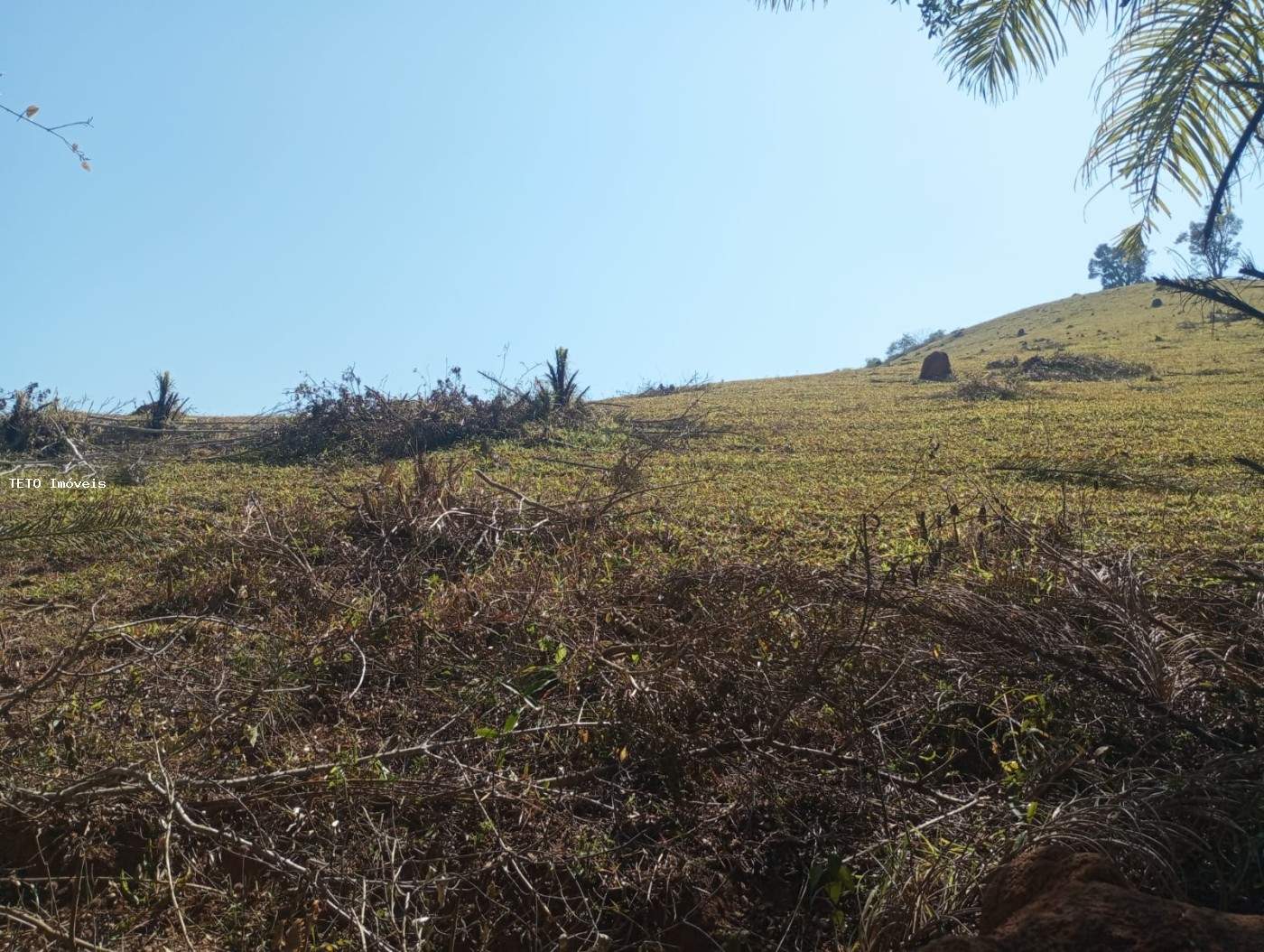Fazenda, 54 m² - Foto 46