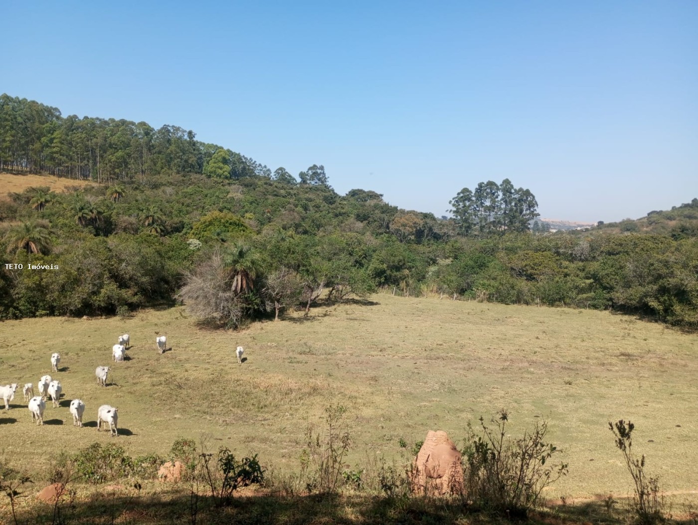 Fazenda, 54 m² - Foto 39