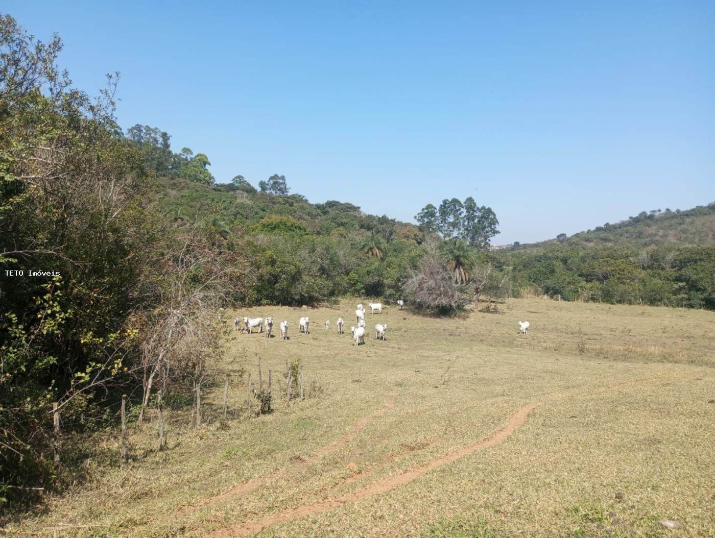 Fazenda, 54 m² - Foto 38