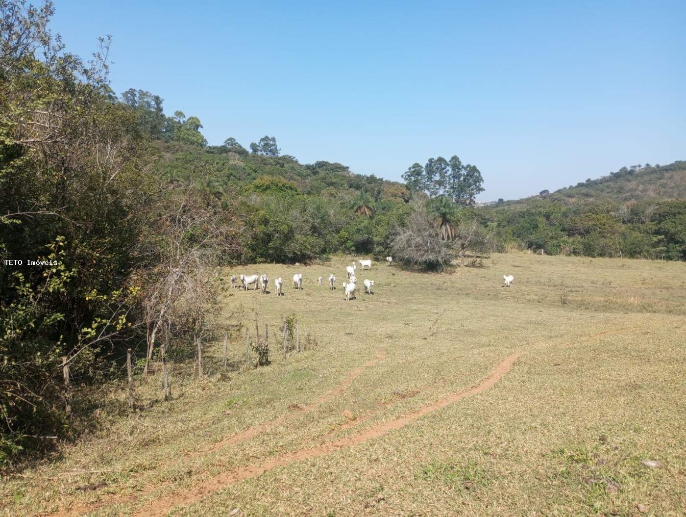 Fazenda, 54 m² - Foto 43