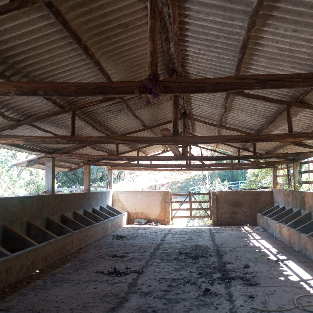 Fazenda, 54 m² - Foto 8