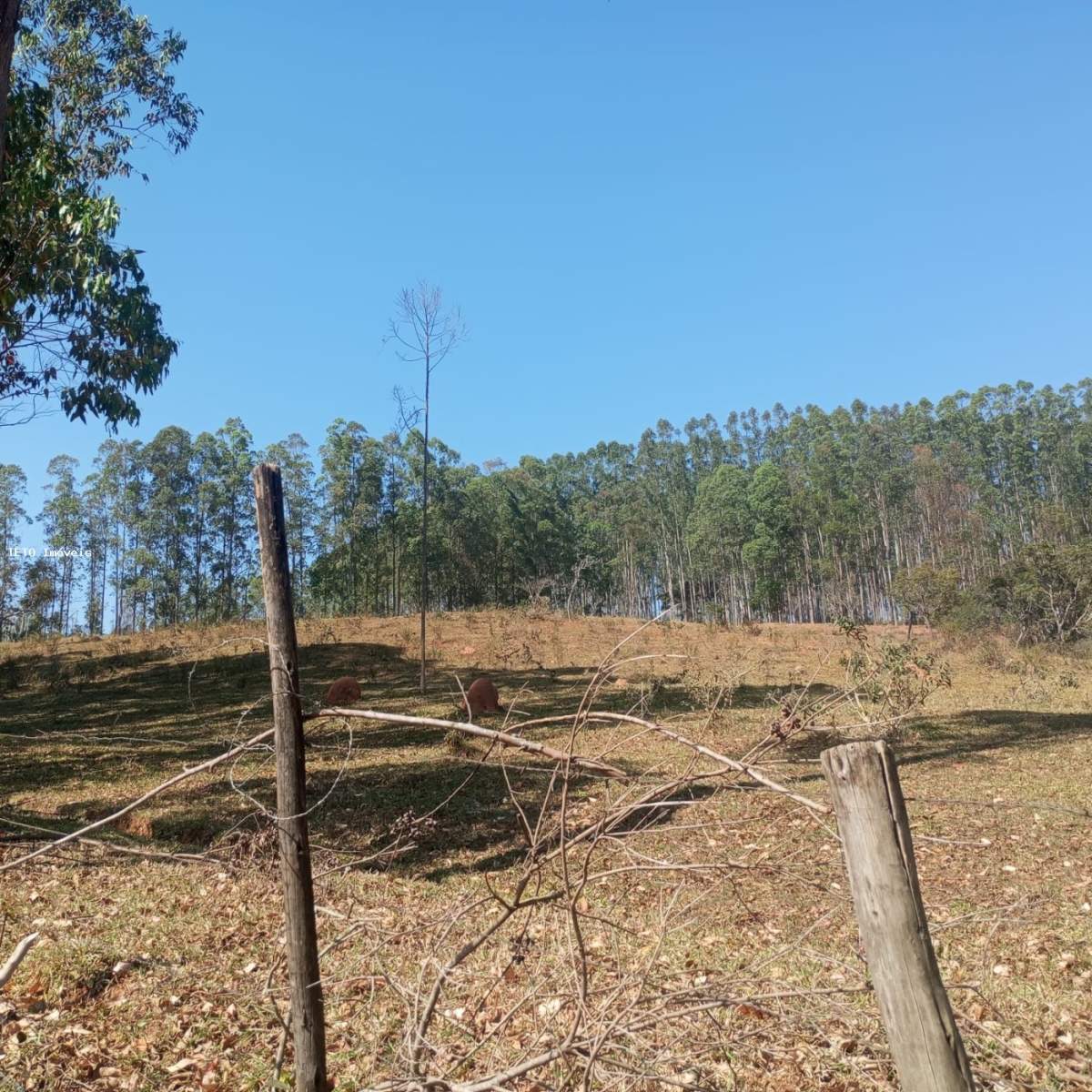 Fazenda, 54 m² - Foto 58