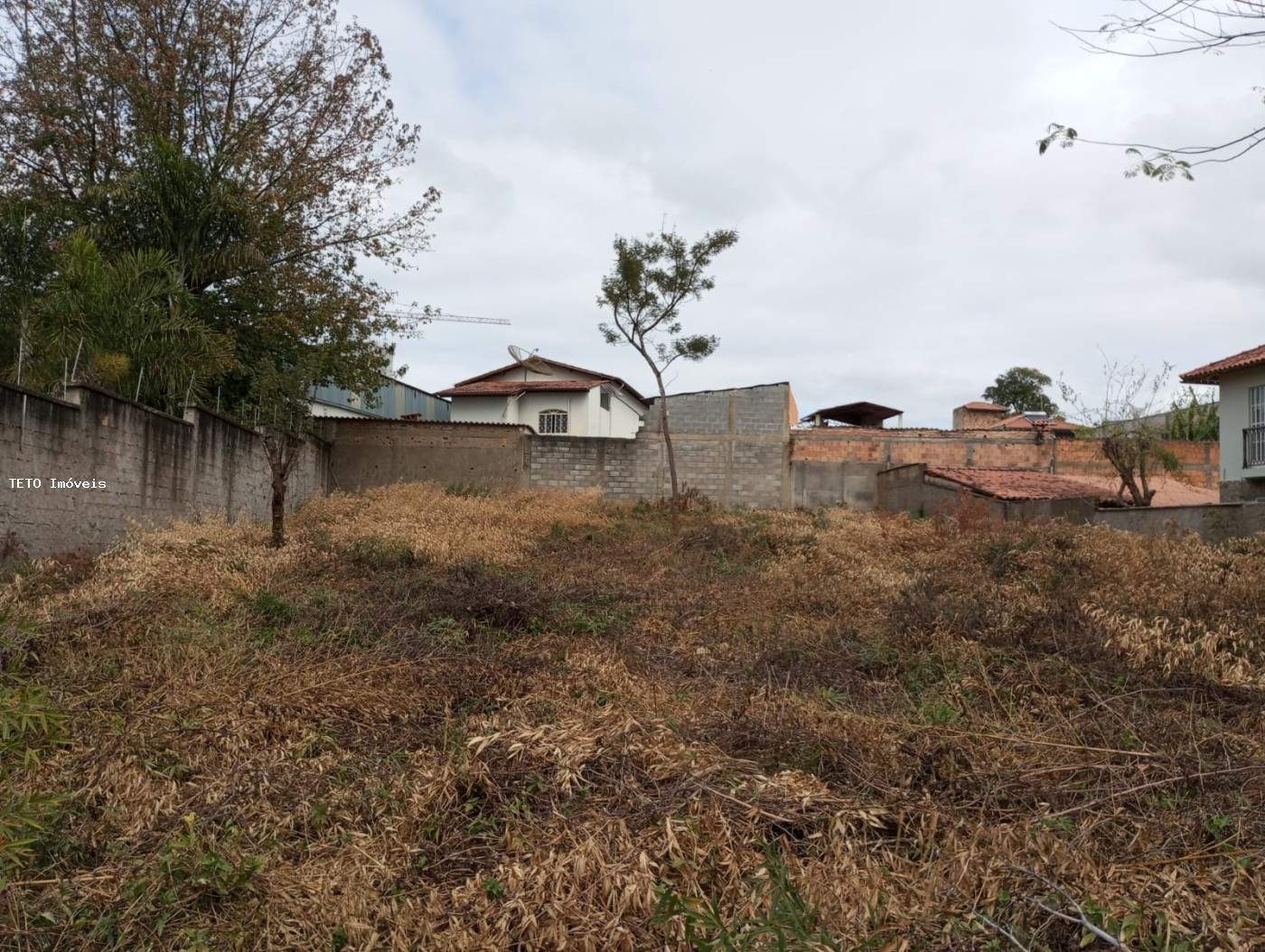 Terreno, 1000 m² - Foto 3