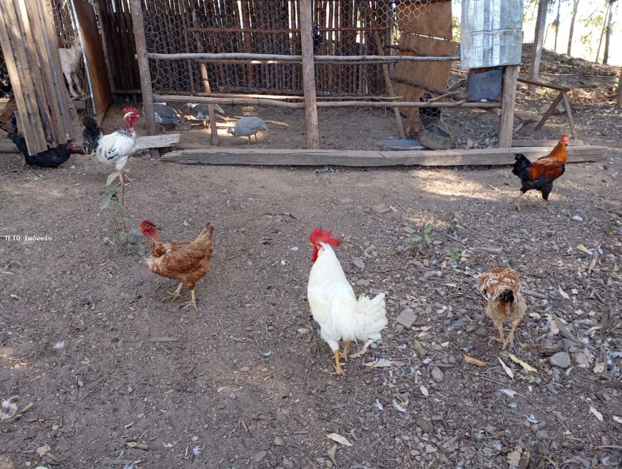 Fazenda, 45 m² - Foto 10