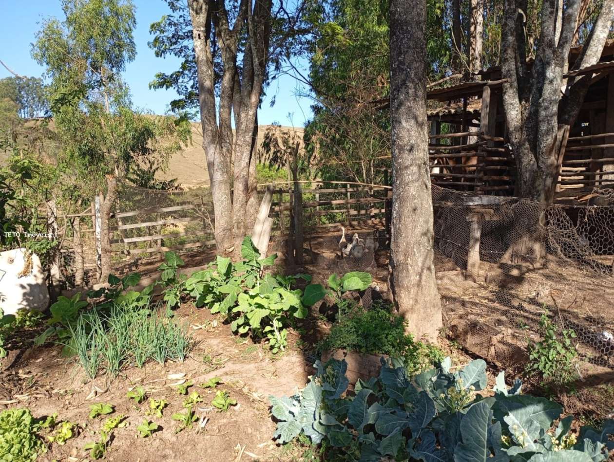 Fazenda, 45 m² - Foto 15