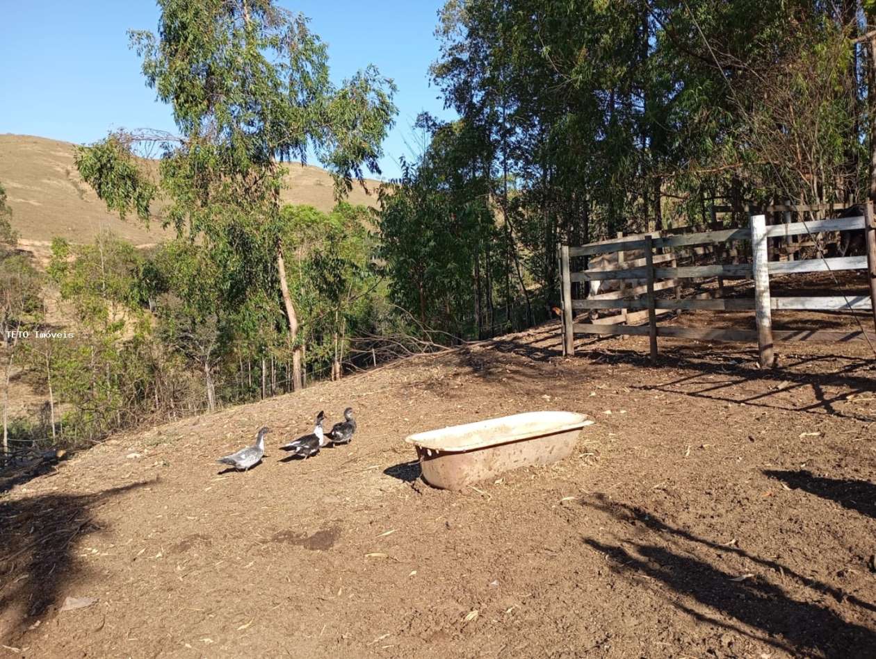 Fazenda, 45 m² - Foto 13