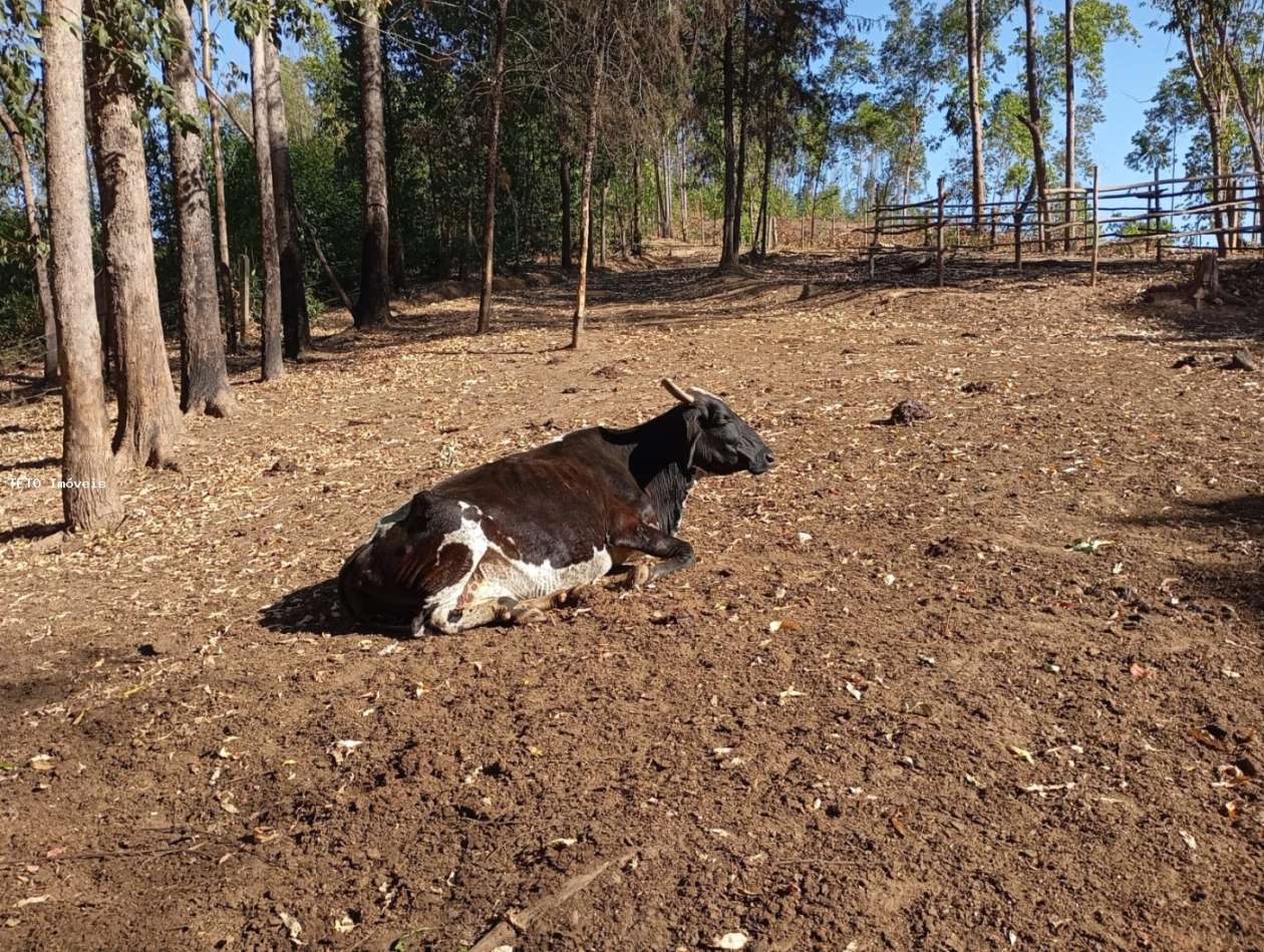 Fazenda, 45 m² - Foto 17