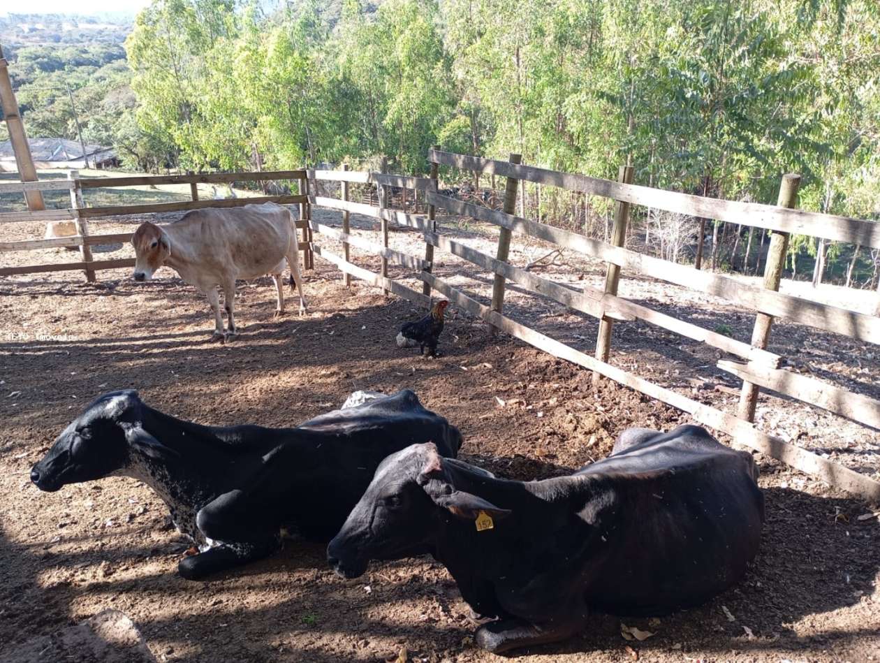 Fazenda, 45 m² - Foto 18