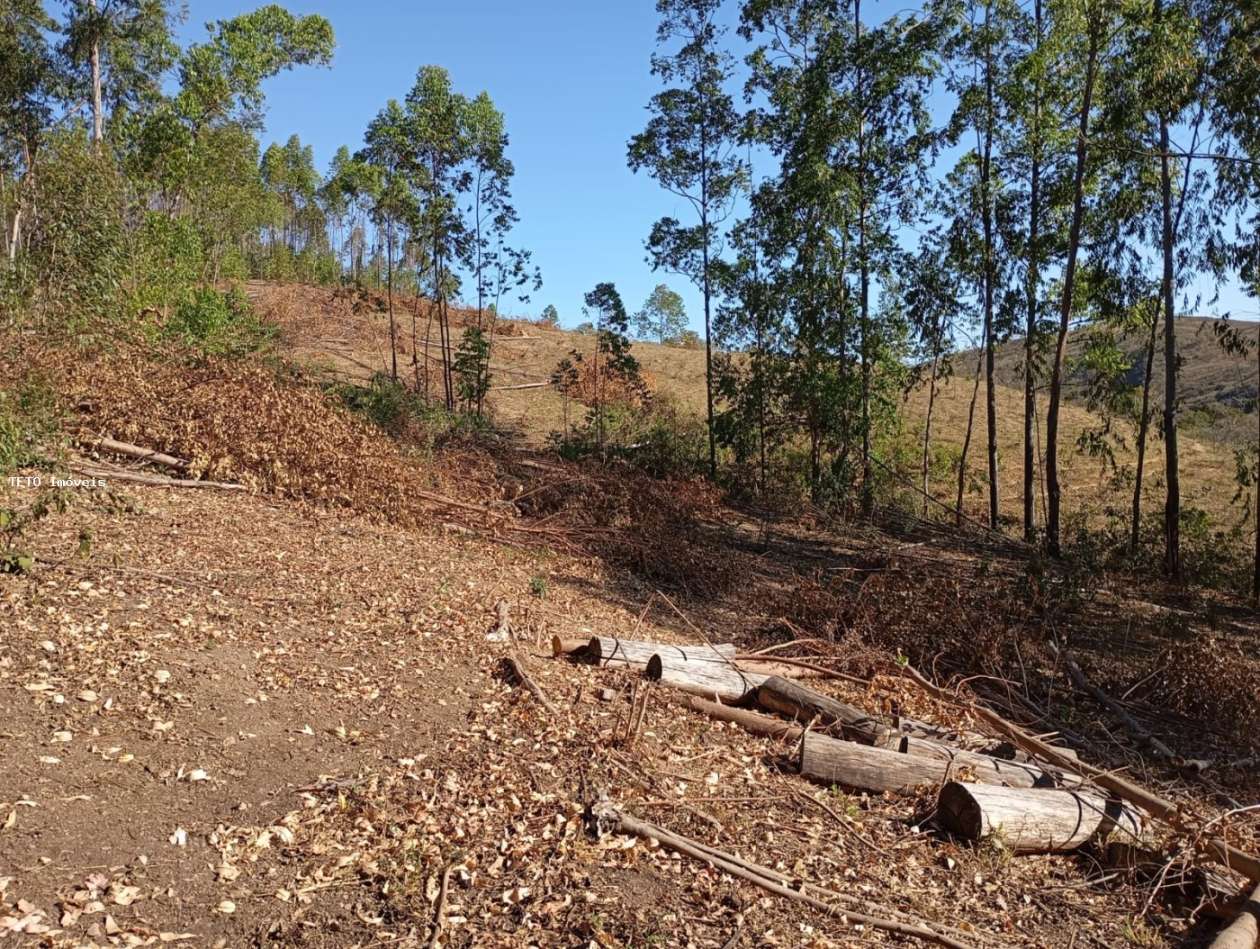 Fazenda, 45 m² - Foto 4