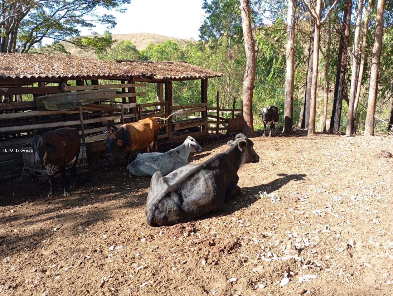 Fazenda, 45 m² - Foto 11