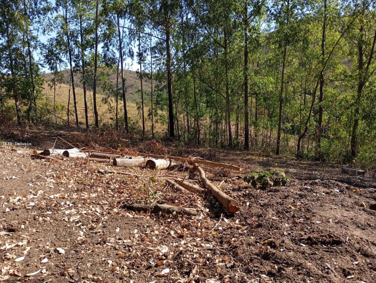 Fazenda, 45 m² - Foto 6