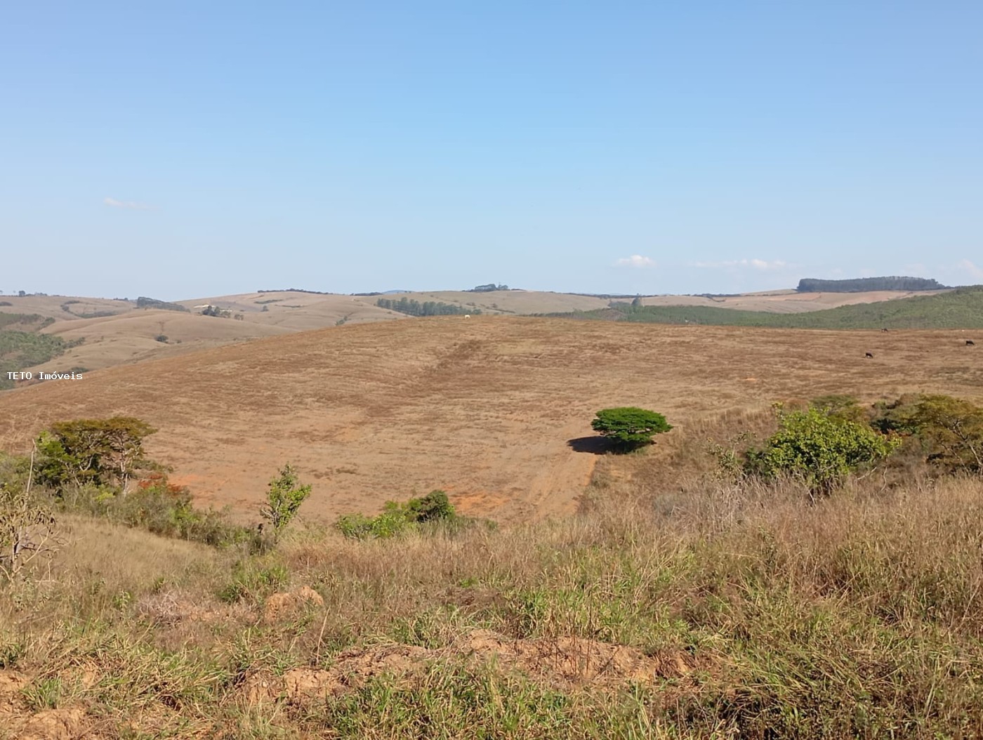 Fazenda, 52 m² - Foto 1