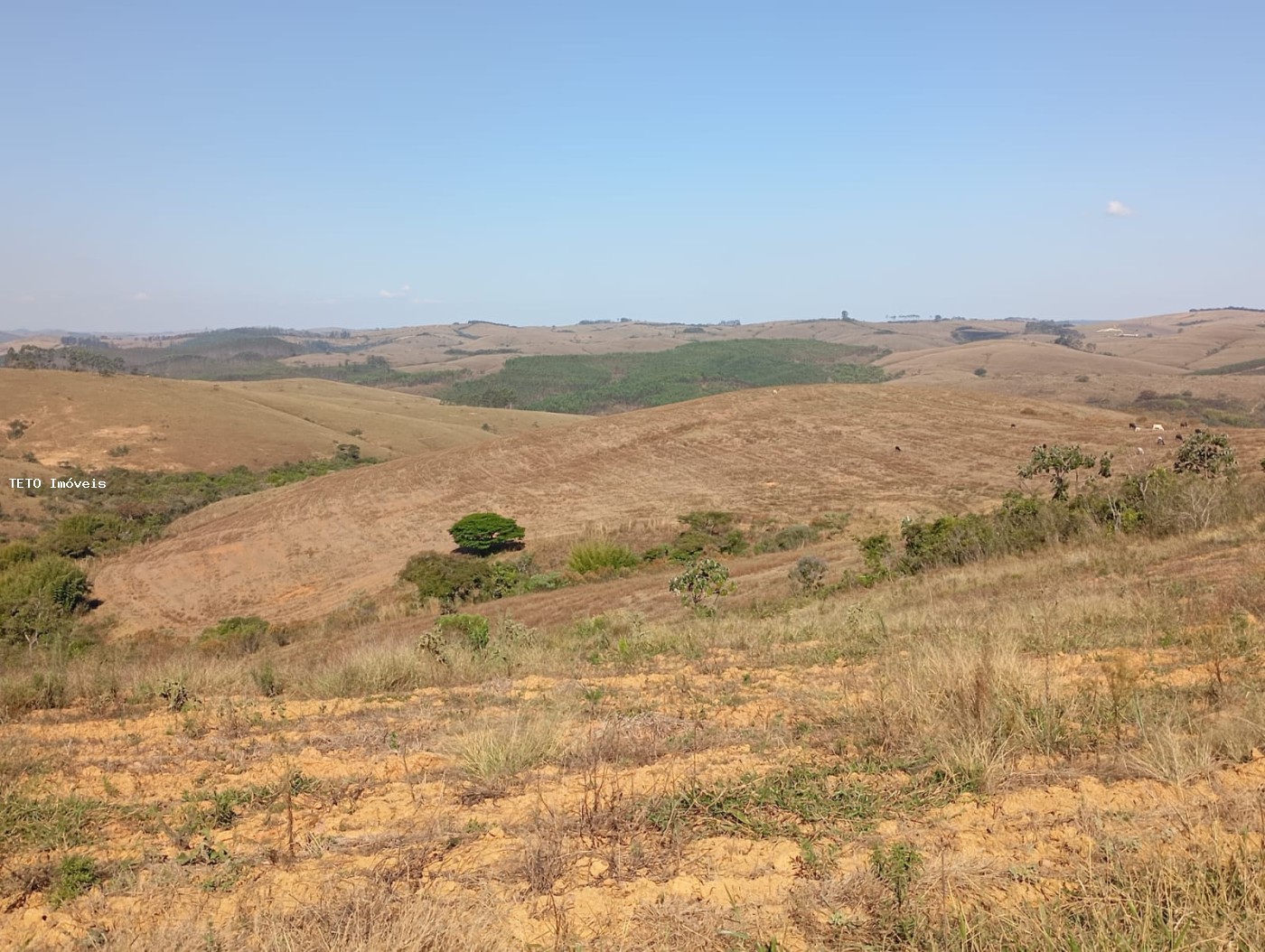 Fazenda, 52 m² - Foto 7