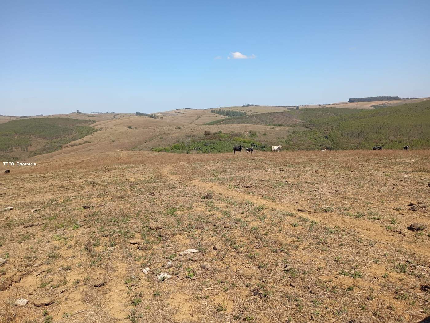 Fazenda, 52 m² - Foto 4