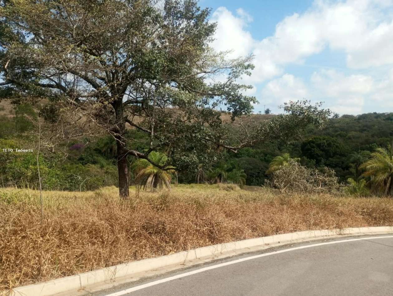 Terreno, 250 m² - Foto 1