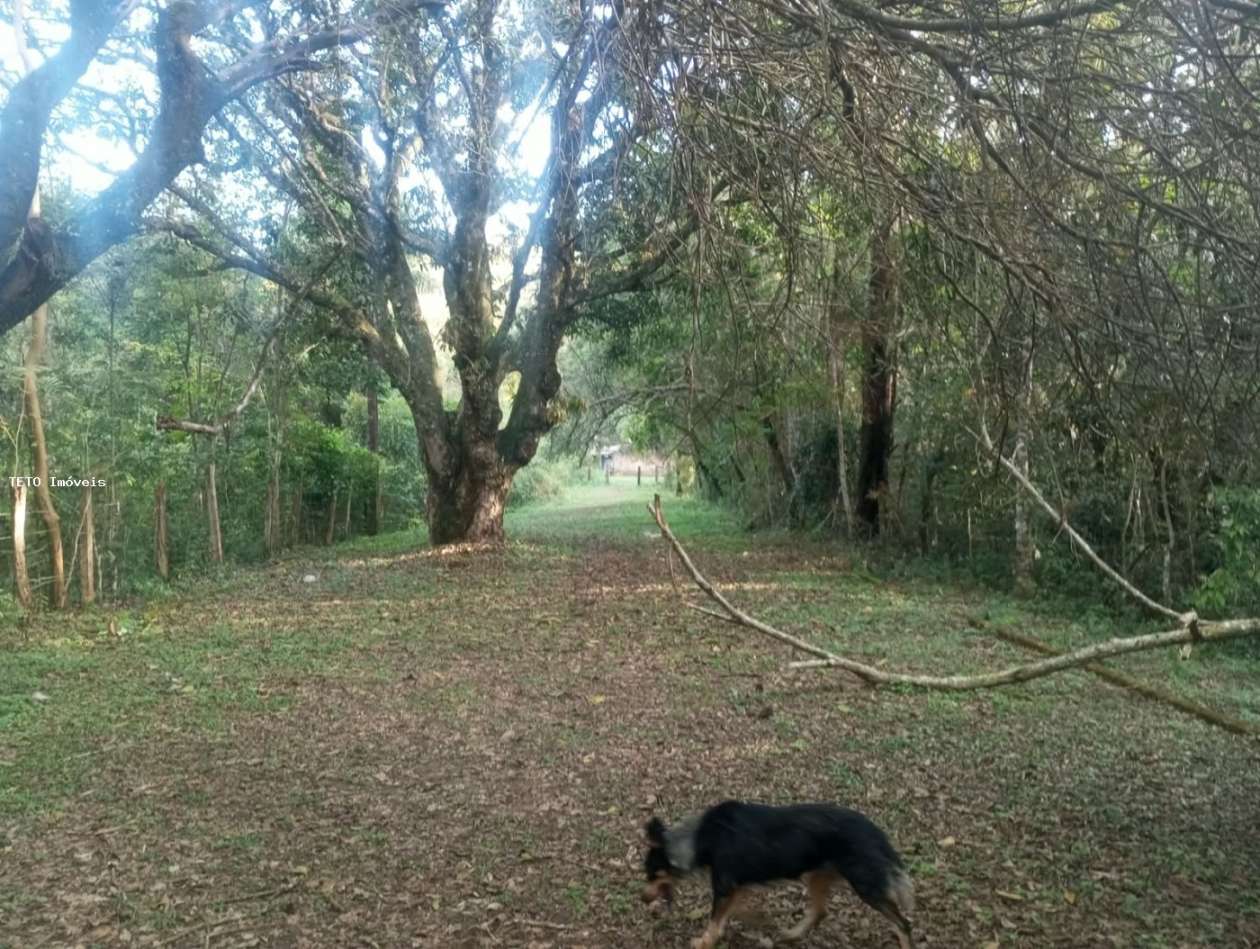 Loteamento e Condomínio, 2 m² - Foto 10