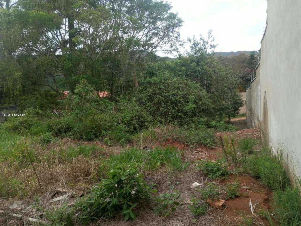 Terreno, 600 m² - Foto 3