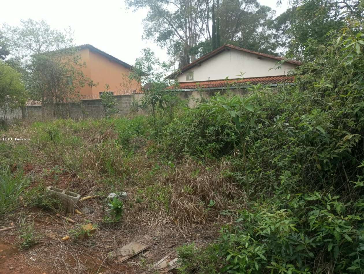 Terreno, 600 m² - Foto 5