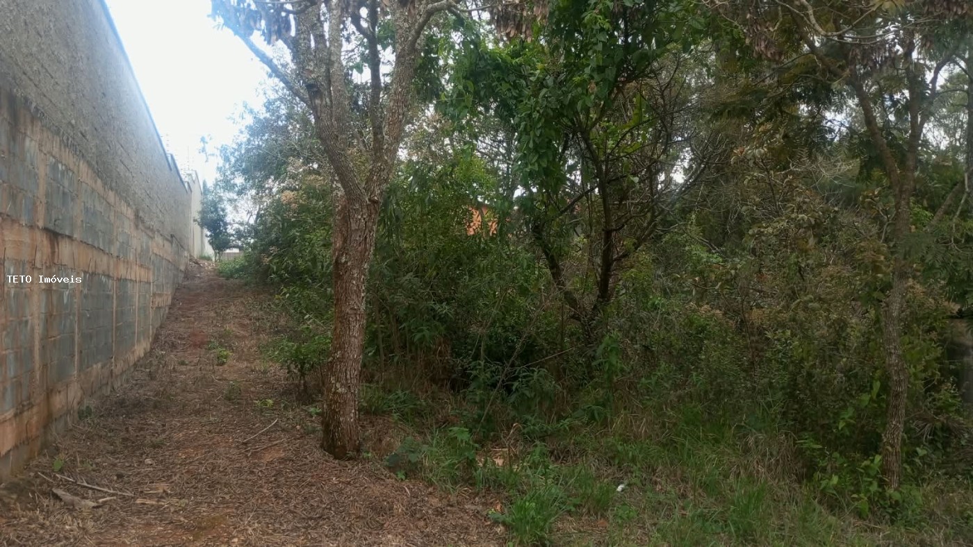 Terreno, 600 m² - Foto 6